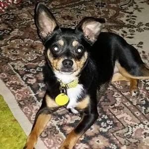 Meet your Posher, Judith